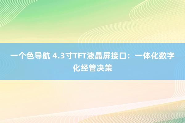 一个色导航 4.3寸TFT液晶屏接口：一体化数字化经管决策