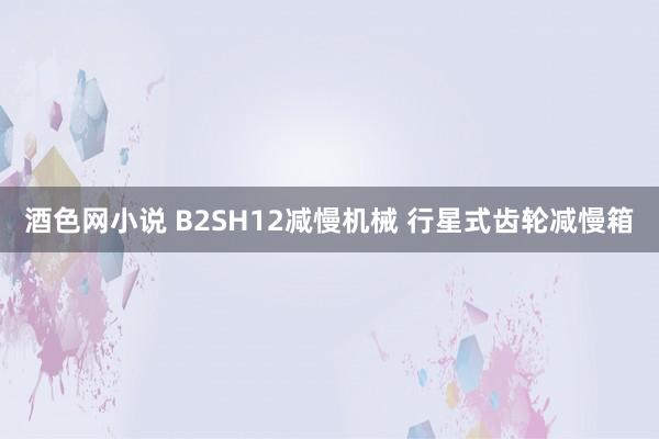 酒色网小说 B2SH12减慢机械 行星式齿轮减慢箱