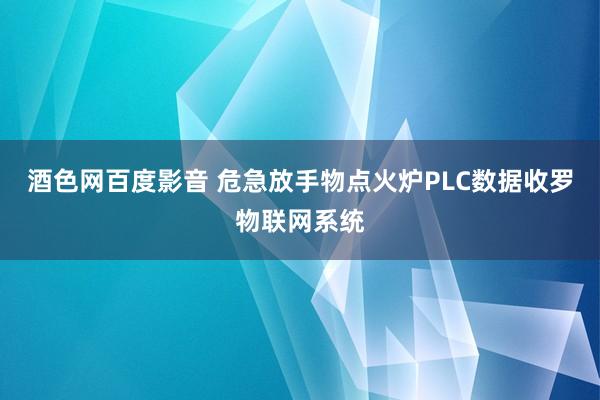 酒色网百度影音 危急放手物点火炉PLC数据收罗物联网系统