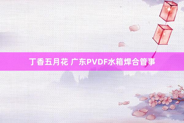 丁香五月花 广东PVDF水箱焊合管事