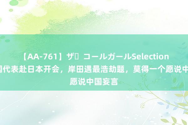 【AA-761】ザ・コールガールSelection 18岛国代表赴日本开会，岸田遇最浩劫题，莫得一个愿说中国妄言