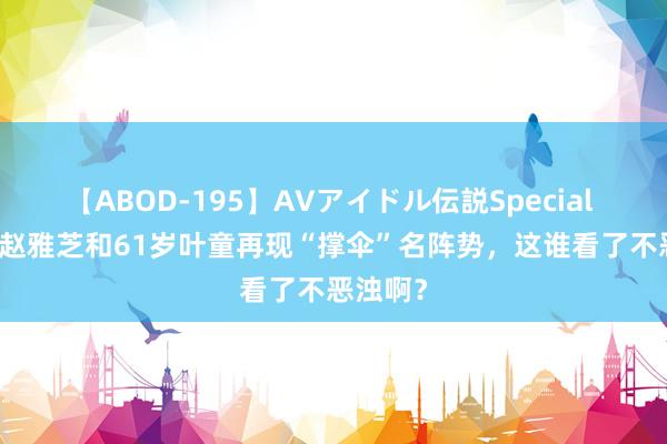 【ABOD-195】AVアイドル伝説Special 4 71岁赵雅芝和61岁叶童再现“撑伞”名阵势，这谁看了不恶浊啊？