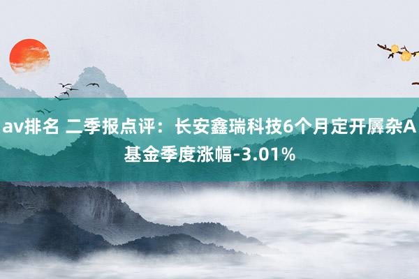 av排名 二季报点评：长安鑫瑞科技6个月定开羼杂A基金季度涨幅-3.01%