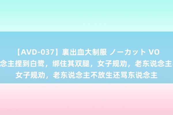 【AVD-037】裏出血大制服 ノーカット VOL.3 成都六旬老东说念主捏到白鹭，绑住其双腿，女子规劝，老东说念主不放生还骂东说念主