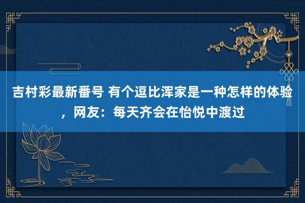 吉村彩最新番号 有个逗比浑家是一种怎样的体验，网友：每天齐会在怡悦中渡过