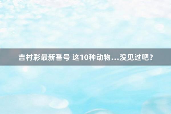 吉村彩最新番号 这10种动物…没见过吧？