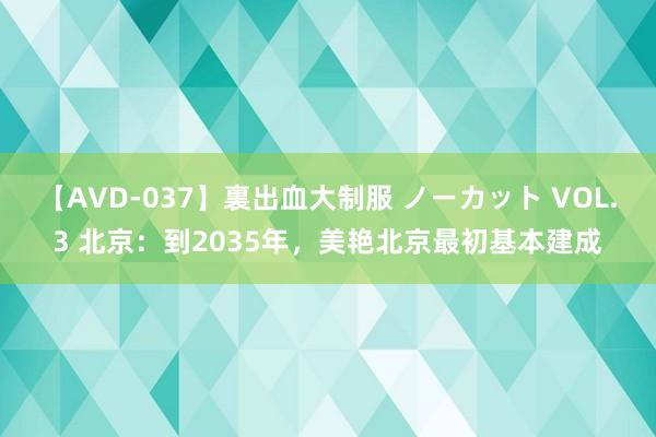 【AVD-037】裏出血大制服 ノーカット VOL.3 北京：到2035年，美艳北京最初基本建成