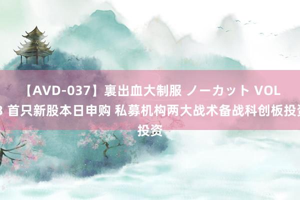 【AVD-037】裏出血大制服 ノーカット VOL.3 首只新股本日申购 私募机构两大战术备战科创板投资