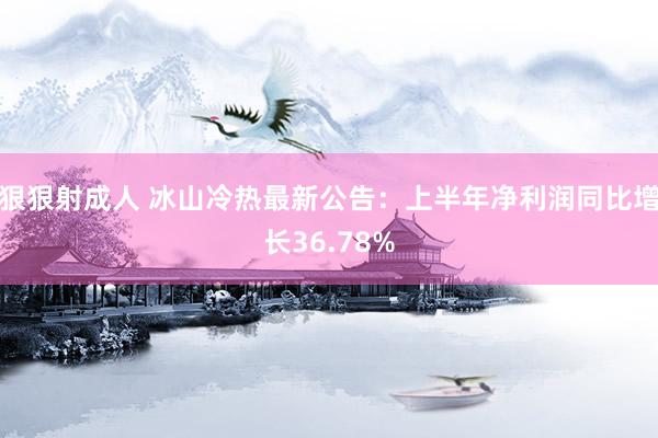 狠狠射成人 冰山冷热最新公告：上半年净利润同比增长36.78%