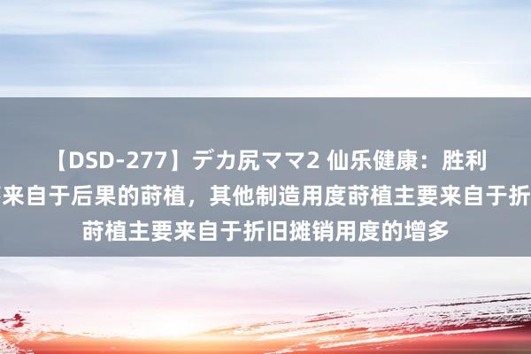 【DSD-277】デカ尻ママ2 仙乐健康：胜利东谈主工占比下落来自于后果的莳植，其他制造用度莳植主要来自于折旧摊销用度的增多