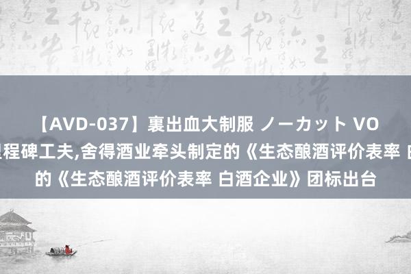 【AVD-037】裏出血大制服 ノーカット VOL.3 生态酿酒迎来里程碑工夫，舍得酒业牵头制定的《生态酿酒评价表率 白酒企业》团标出台