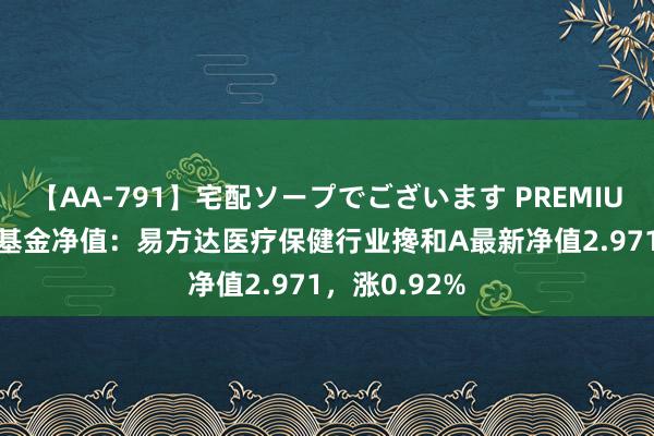 【AA-791】宅配ソープでございます PREMIUM 8月16日基金净值：易方达医疗保健行业搀和A最新净值2.971，涨0.92%