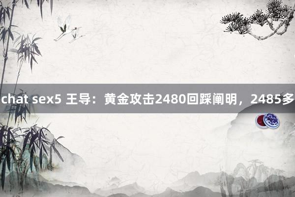 chat sex5 王导：黄金攻击2480回踩阐明，2485多