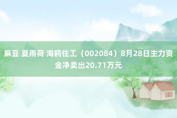 麻豆 夏雨荷 海鸥住工（002084）8月28日主力资金净卖出20.71万元