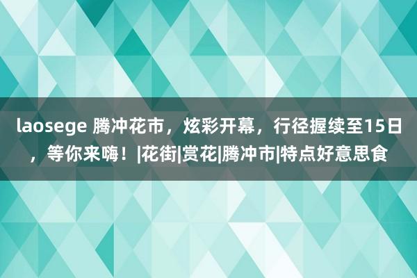 laosege 腾冲花市，炫彩开幕，行径握续至15日，等你来嗨！|花街|赏花|腾冲市|特点好意思食