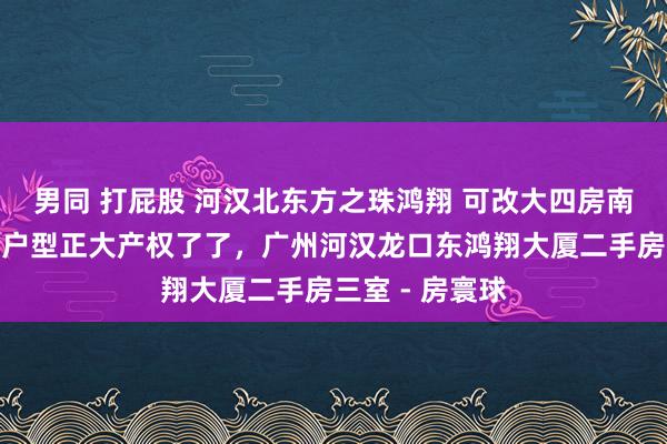 男同 打屁股 河汉北东方之珠鸿翔 可改大四房南向厅出三阳台户型正大产权了了，广州河汉龙口东鸿翔大厦二手房三室 - 房寰球