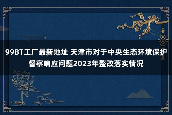 99BT工厂最新地址 天津市对于中央生态环境保护督察响应问题2023年整改落实情况