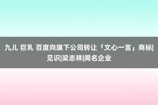 九儿 巨乳 百度向旗下公司转让「文心一言」商标|见识|梁志祥|闻名企业